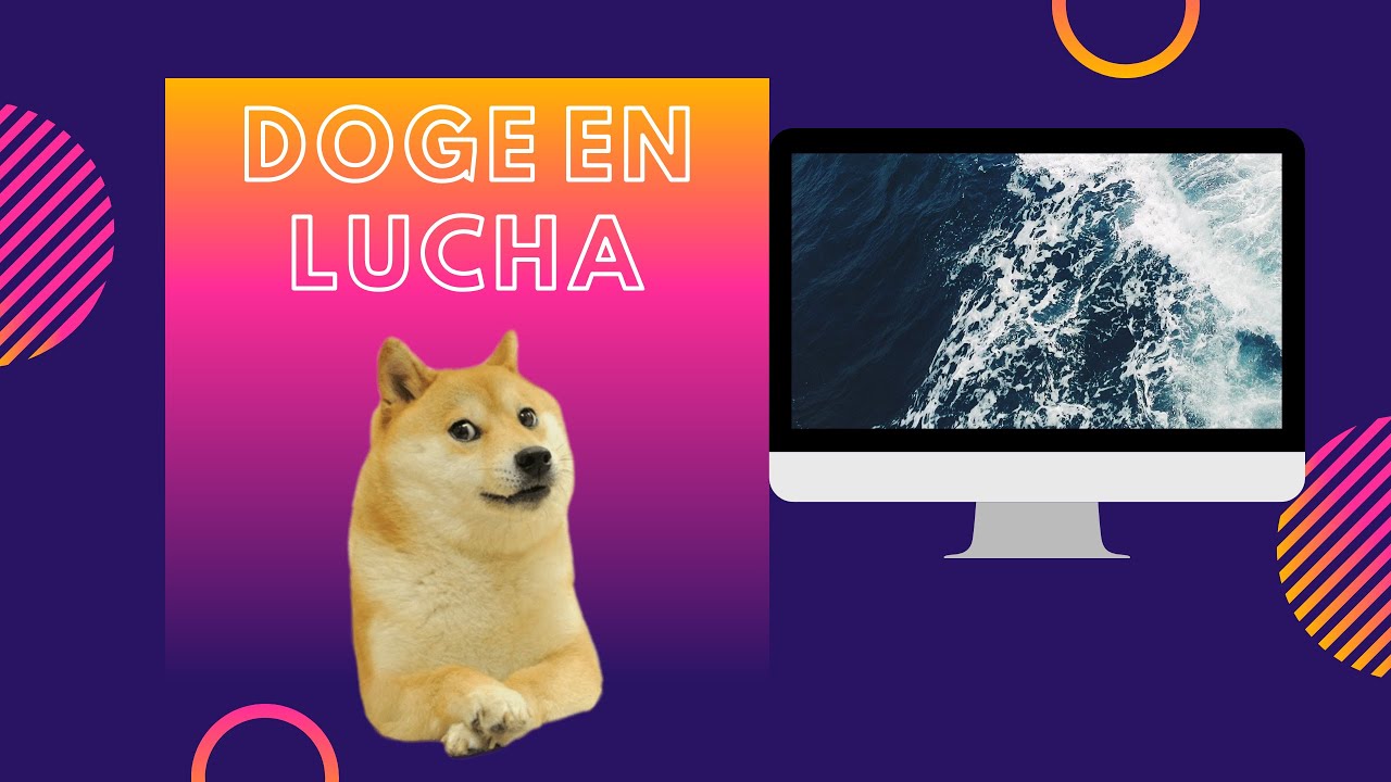 discusión entre doge y cheems:'(