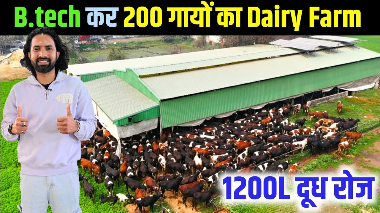 इंजीनियर साहब का 200 गायों का Dairy Farm | Dairy Farming Business | Dairy Farming