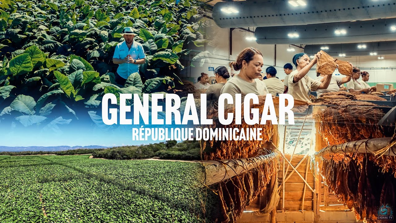 De la graine à l’allumage – Immersion chez General Cigar en République Dominicaine 🇩🇴 