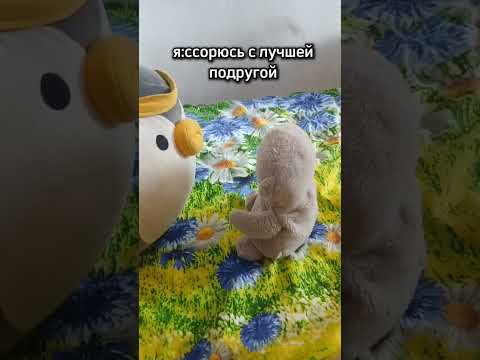 если что они