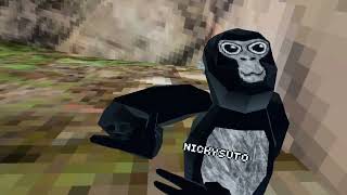 Gorilla Tag Gameplay (No Commentary)