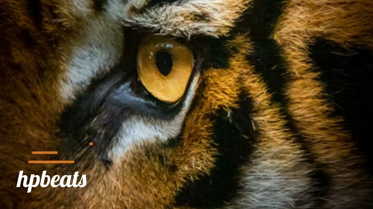 Flute Trap Beat instrumental 2022 | Rap Beat 140 bpm 2022