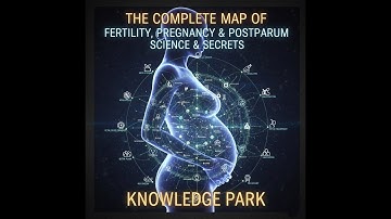 The Complete Map of Fertility, Pregnancy & Postpartum  Science & Secrets#fertility #pregnancy