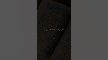 الشيخ فارس عباد صوت جميل جدا تلاوه خاشعه تبكي الحجر #القرآن_الكريم