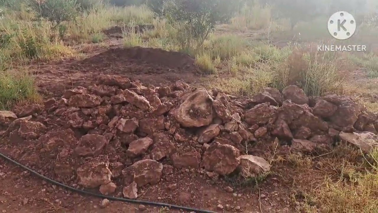 جولة فالبلاد  يوم 8 سبتمبر  2024 .