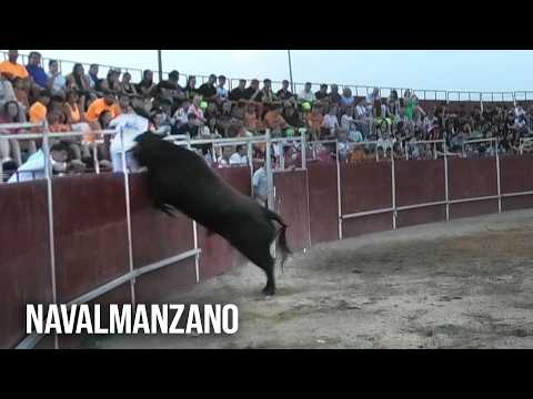 Navalmanzano 2026 Concurso de Cortes con Toros Bravos