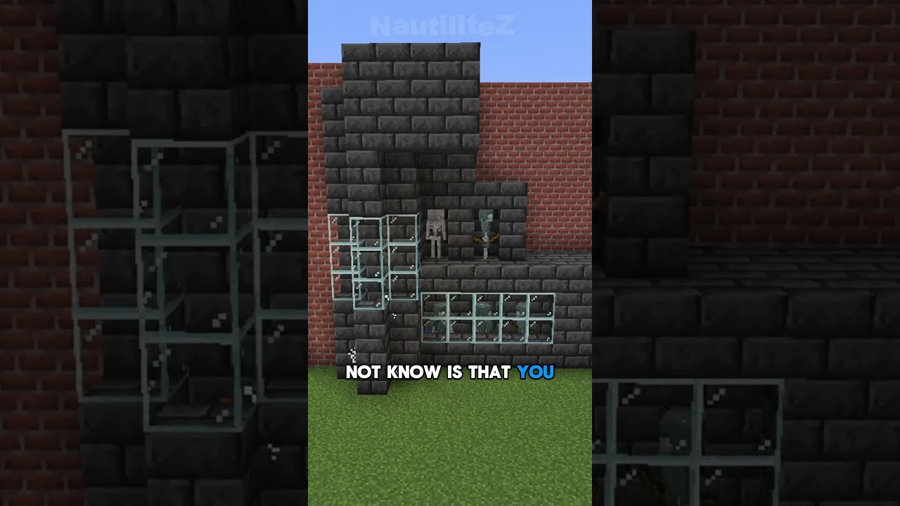 HOW To CONVERT Skeletons Into STRAYS In MINECRAFT!