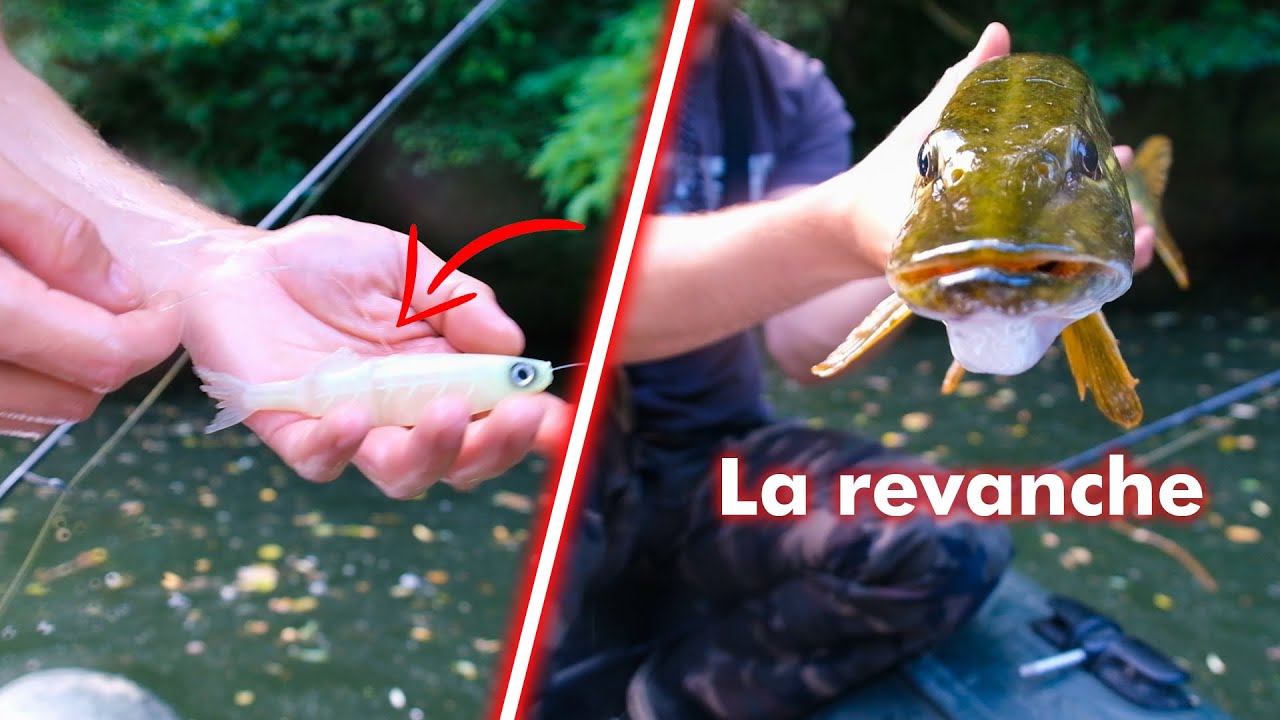 ON PREND NOTRE REVANCHE SUR CES BROCHETS ! YouTube