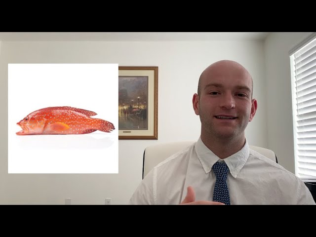 fda v brown & williamson tobacco corp case brief v. Spotlight on Tobacco In 1996, 60 Minutes spoke