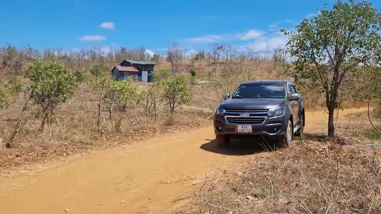 Khoảng 3h cafê con điều và đất trống.giá chỉ 700tr