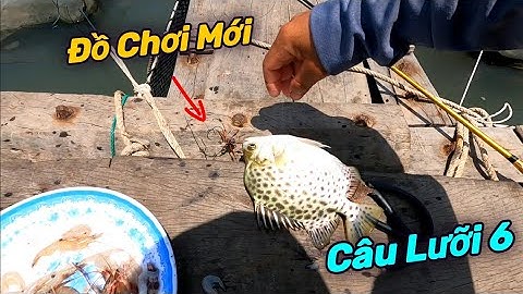 Câu Cá Nâu Kiểu Mới Giật Là Dính | GĐCG #512