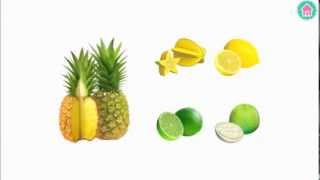 Picture Dictionary: Plants (English-Malay-Chinese) 图画字典: 植物 (英-马-中) screenshot 5