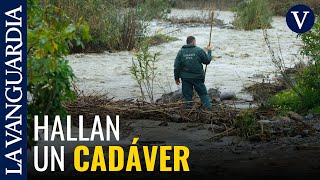 Hallado un cadáver en la zona donde buscaban a la mujer desaparecida en Sayalonga (Málaga)