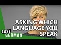 Asking which language you speak - German Basic Phrases (40)