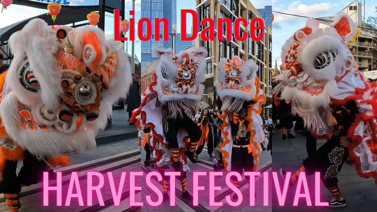 Lion dance, celebrating the traditional harvest festival at Lennox Bridge Parramatta #liondance