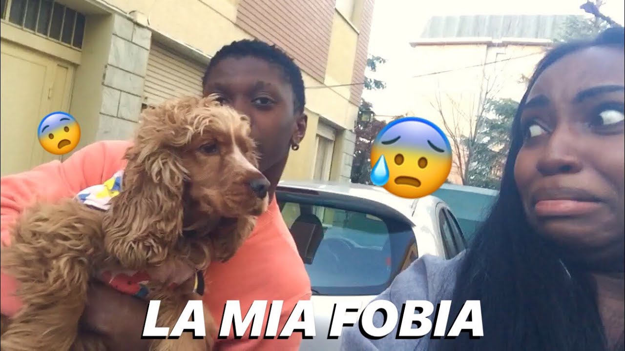 Ho affrontato la mia più grande paura: I CANI - YouTube