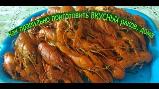 Как правильно приготовить вкусных раков, дома