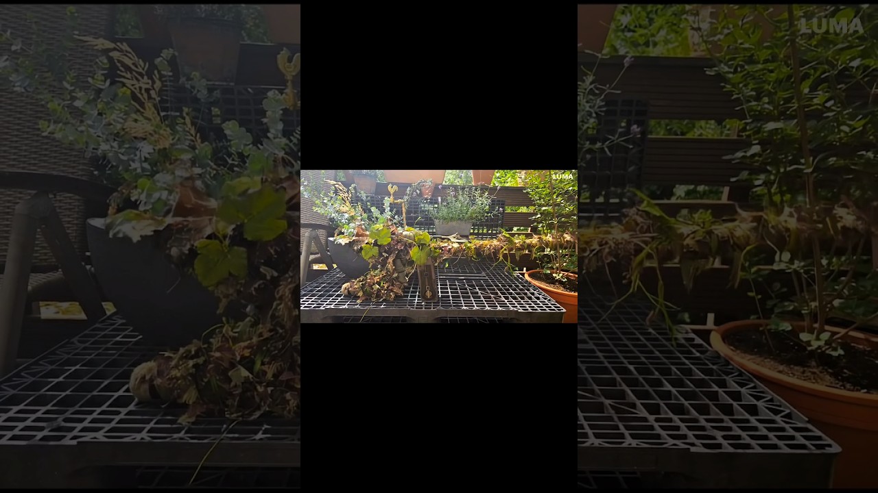 Gun Transformation Ghillie 