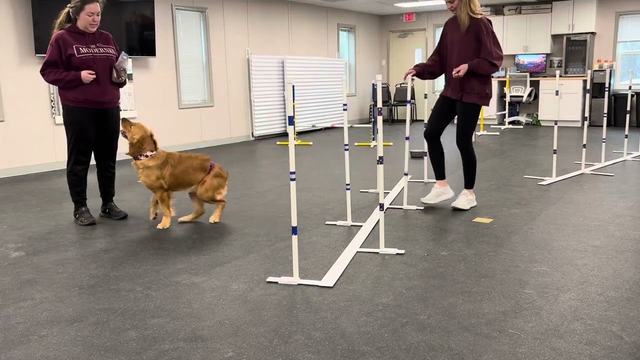 Rory’s first time on weaves 2/24/25