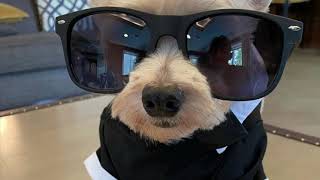 Bobby Miller PCH Scammer Is Back Pretending To Be The FBI-He Is Sending Agents To Arrest Me!