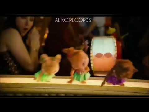 Айкерім Қалаубаева -
