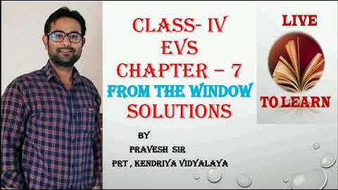 FROM THE WINDOW | SOLUTIONS | CLASS 4 | CHAPTER 7 | EVS#HINDI#ENGLISH#NCERT#CBSE#KVS#BACKTOBASIC#NEP