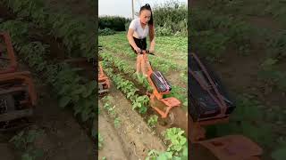 Portable 48-volt lithium battery weeding loose soil ditching machine electric weeding ditching..👍