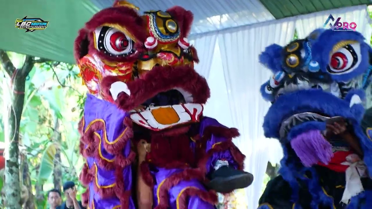 AKSI BARONGSAI DANCE - VOC. MIMI KAS SENI BUROK LBC GROUP - DESA KARANGMANGU 4 JUNI 2025