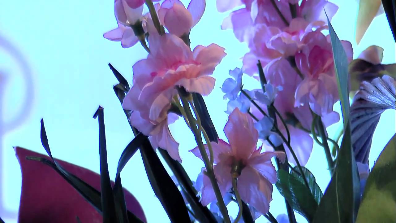 FLOWERS BY GINA D BALTIMORE MARYLAND YouTube