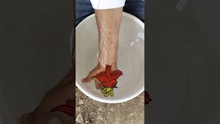 Flying 🪽 Bird 🕊️ with flower 💐drawing wow😀 it's amazing by floating pen #viralvideo #youtubeshorts