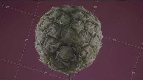 Pineapple rotating with loop on fuchsia screen for chroma key