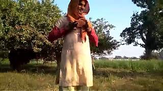 Desi Jalti Jawani Mage Pani Pani
