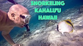 Snorkeling Review  Kahalu'u Beach Park, Hawaii (Big Island)