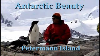 Antarctic Beauty, Petermann Island.