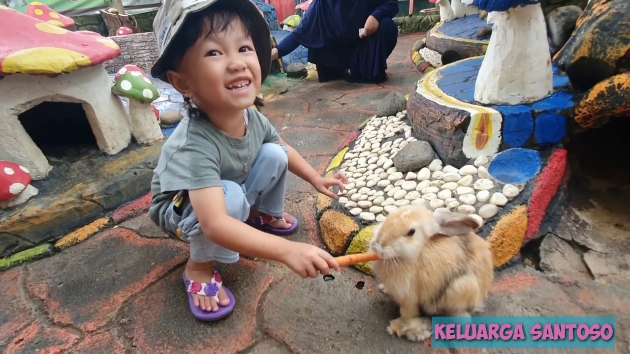TAMAN KELINCI LAMPUNG - YouTube