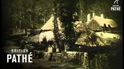 Down In The Forest - In The Heart Of Dartmoor  In Can Labelled "Pathetone Early Colour" (1930)
