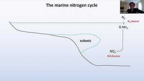 SGP Proxy Primer: Nitrogen isotopes (Dr. Eva Stüeken)