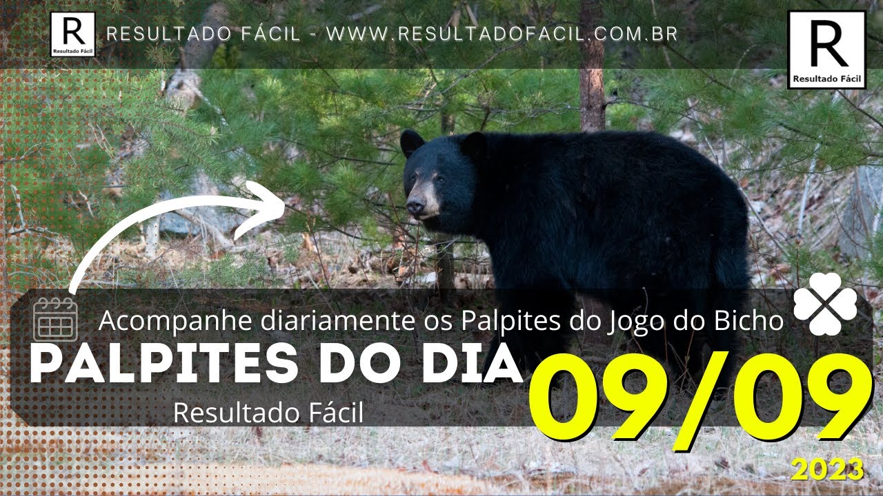 Ganhar Fácil - Palpites E Resultados Do Jogo Do Bicho