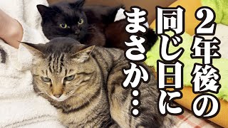 2年前の大地震の教訓がまさか2年後の同じ日に活かされるとは!