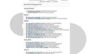 Synaptica KMS Term Add/Edit Review screenshot 2