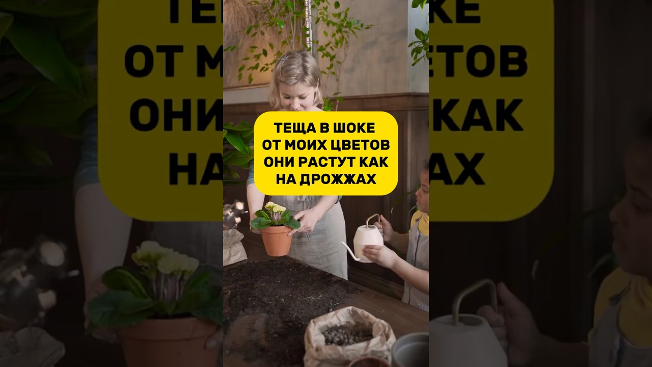 Артикул на то самое чудо-средство 291934334 (wb)