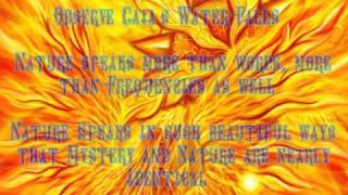 13th Dimension The Universal Translations