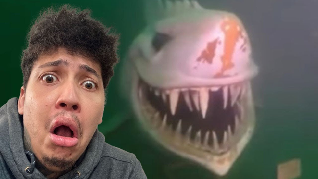 If You’re Scared Of The Sea Don’t Watch This Video