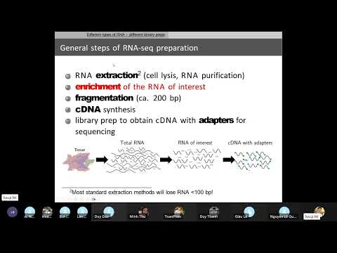 Video: Sợi nào sẽ sử dụng nhiều đoạn mồi RNA hơn?
