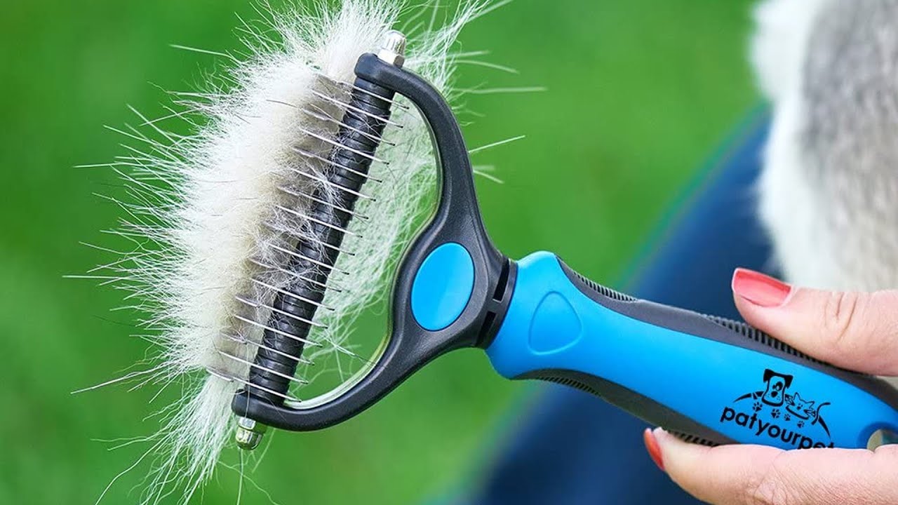 Top 5 Best Cat Grooming Tools in 2023 [Review & Buying Guide] Make