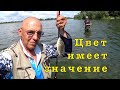 Отводной поводок. Дроп-шот. Каролина. Ловим вкусную рыбу.