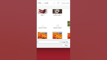Accept Specific File format in HTML | File upload in html #shorts