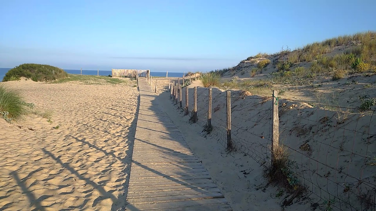 Contis plage - Saint Julien en Born