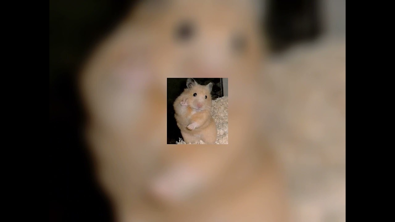 When can I see you again (sped up) by Owl City