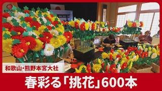 春彩る「挑花」600本 和歌山・熊野本宮大社